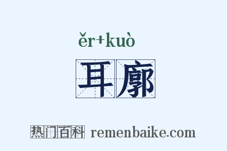 耳廓是什么意思的图片